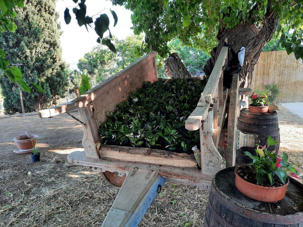 Tenuta Coppa Zuccari Citta Sant'Angelo Exteriör bild