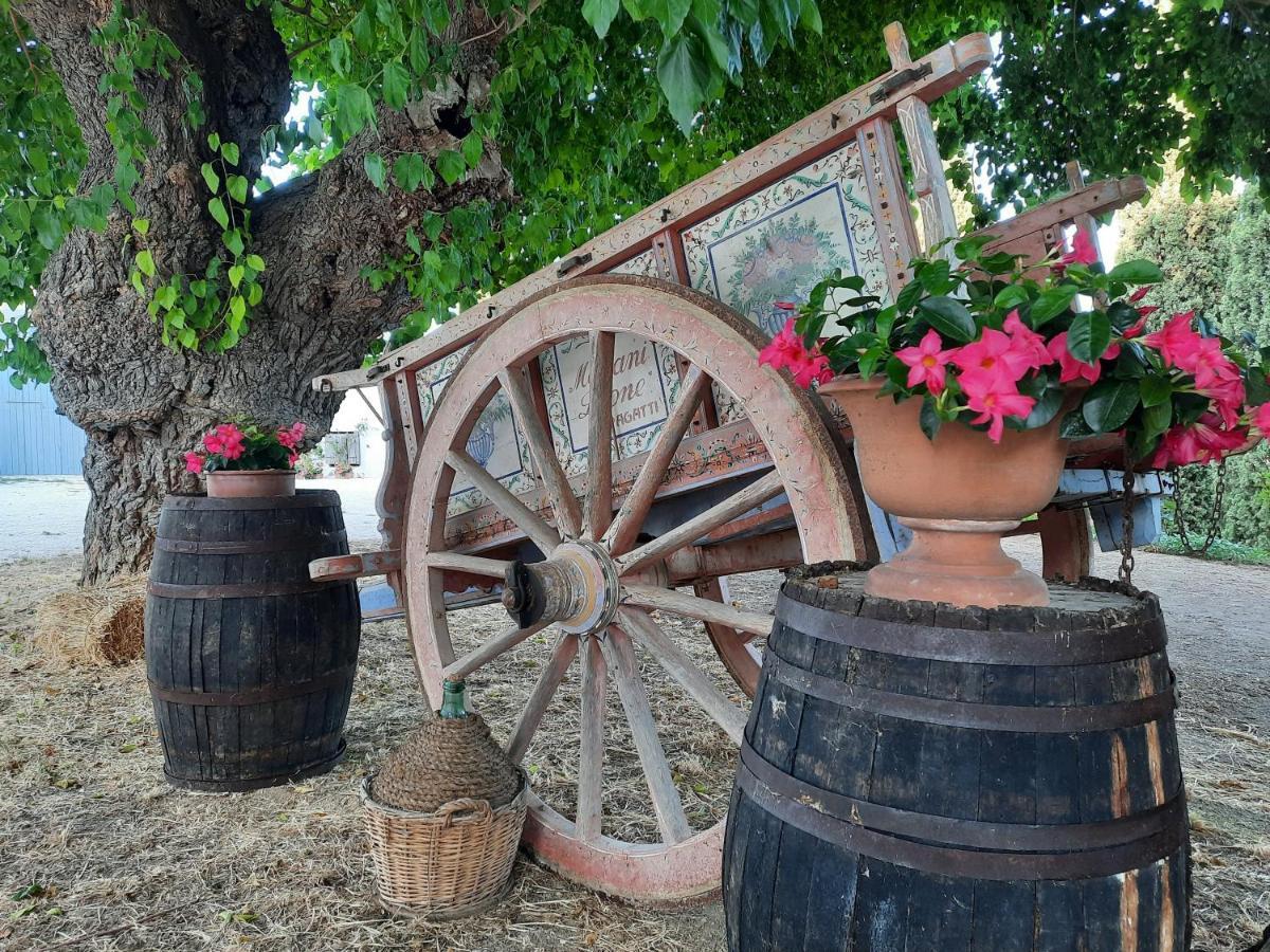 Tenuta Coppa Zuccari Citta Sant'Angelo Exteriör bild