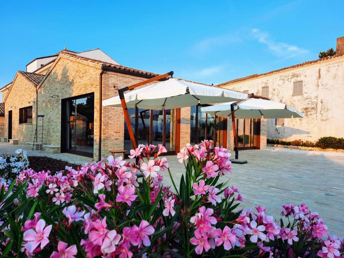 Tenuta Coppa Zuccari Citta Sant'Angelo Exteriör bild