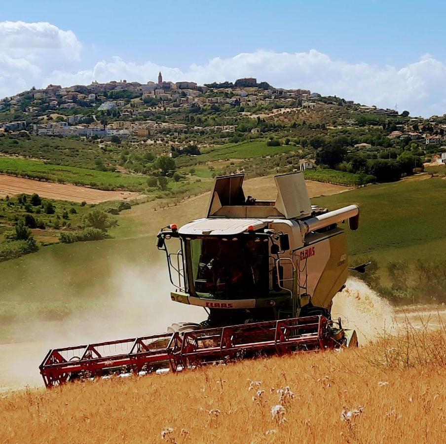 Tenuta Coppa Zuccari Citta Sant'Angelo Exteriör bild