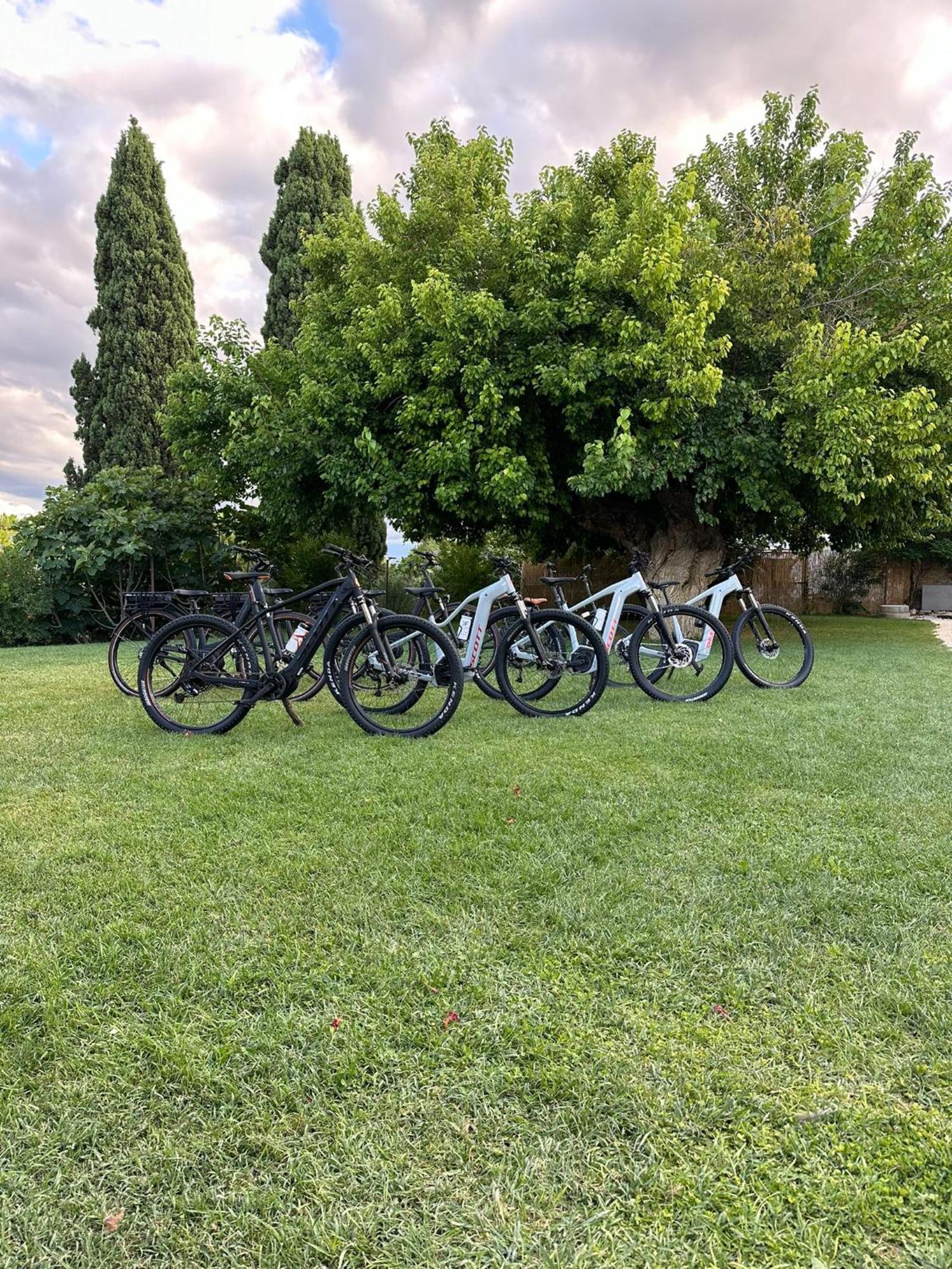 Tenuta Coppa Zuccari Citta Sant'Angelo Exteriör bild